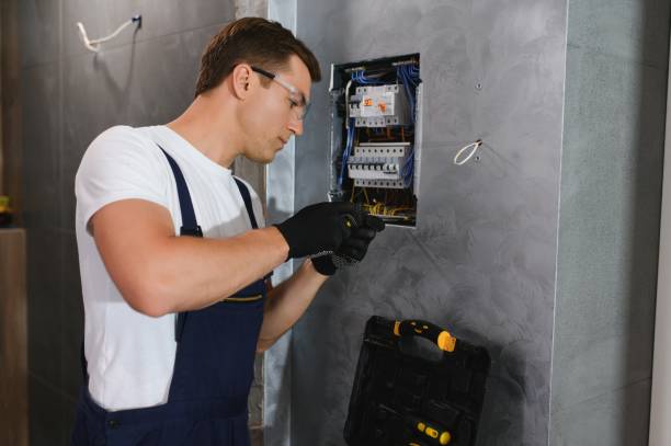 Best Electric Panel Repair  in Indian Head, MD
